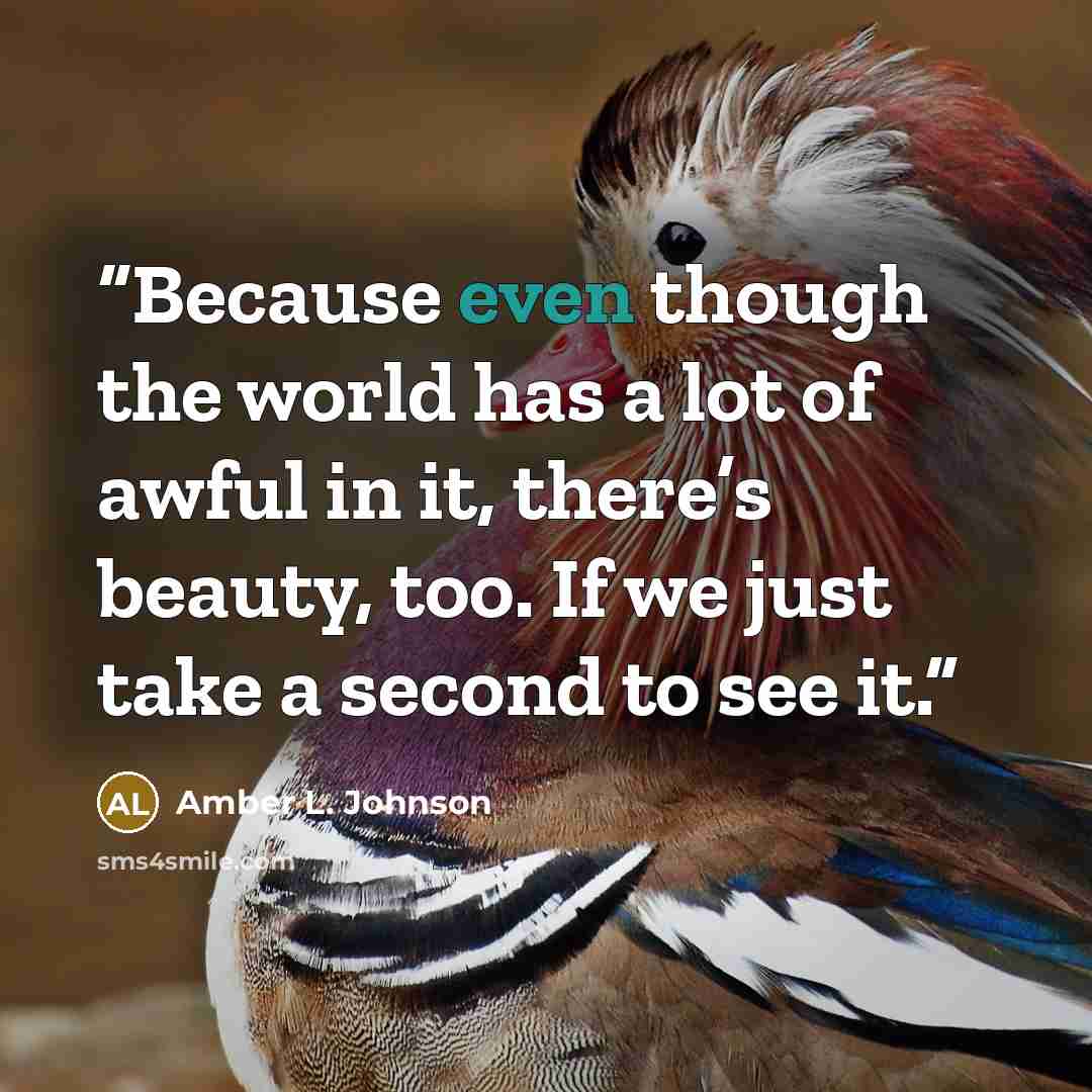 “Because even though the world has a lot of awful in it, there’s beauty, too. If we just take a second to see it.” quote by Amber L. Johnson