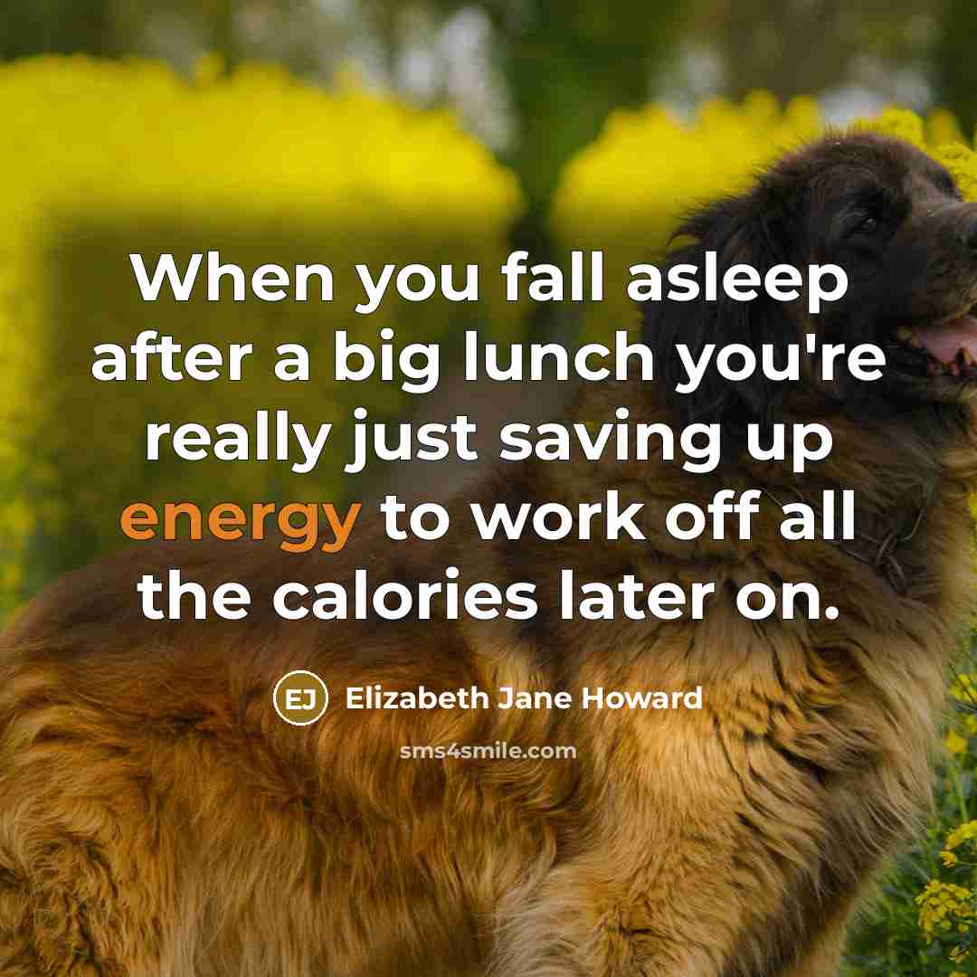 “When you fall asleep after a big lunch you're really just saving up energy to work off all the calories later on.” quote by Elizabeth Jane Howard