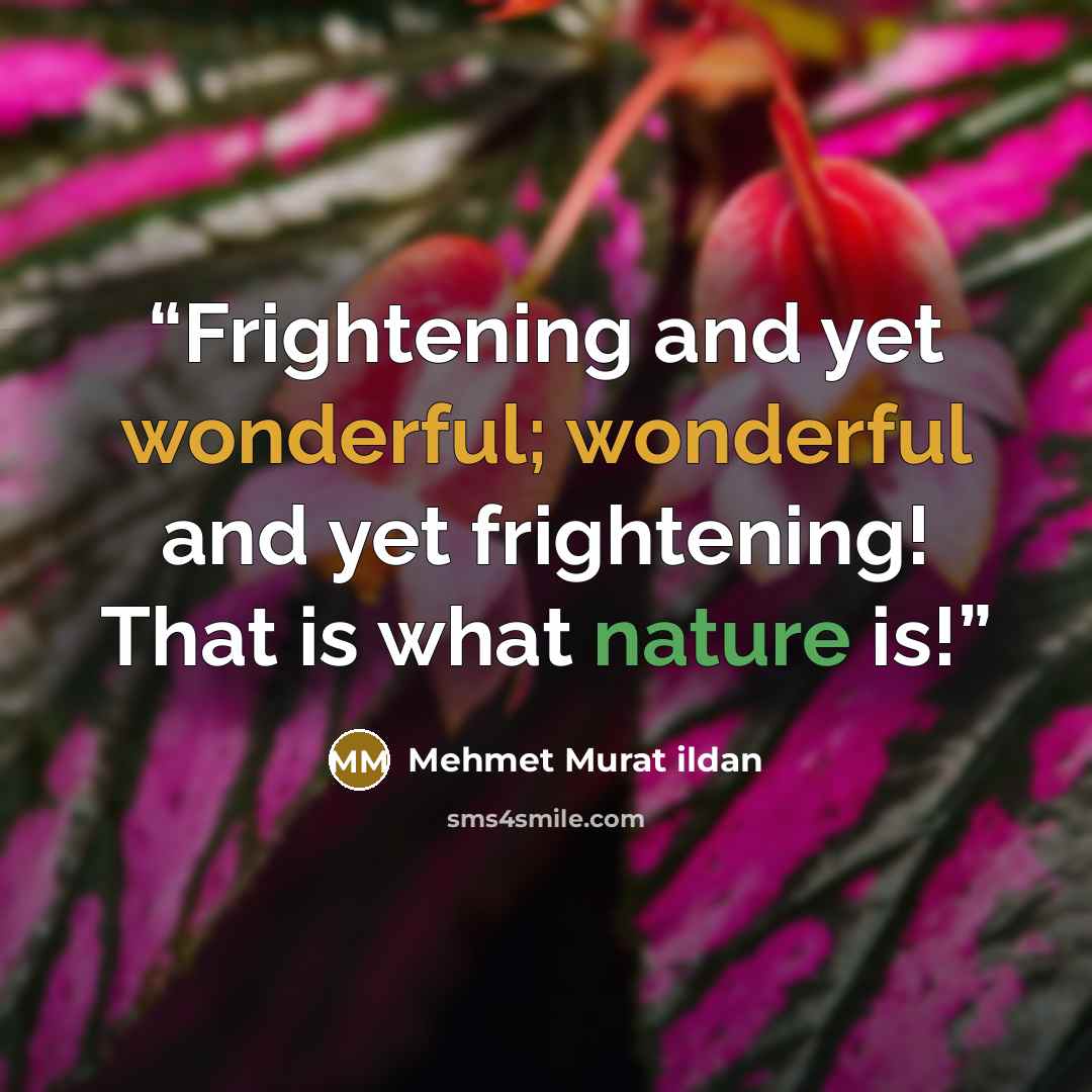 “Frightening and yet wonderful; wonderful and yet frightening! That is what nature is!” quote by Mehmet Murat ildan