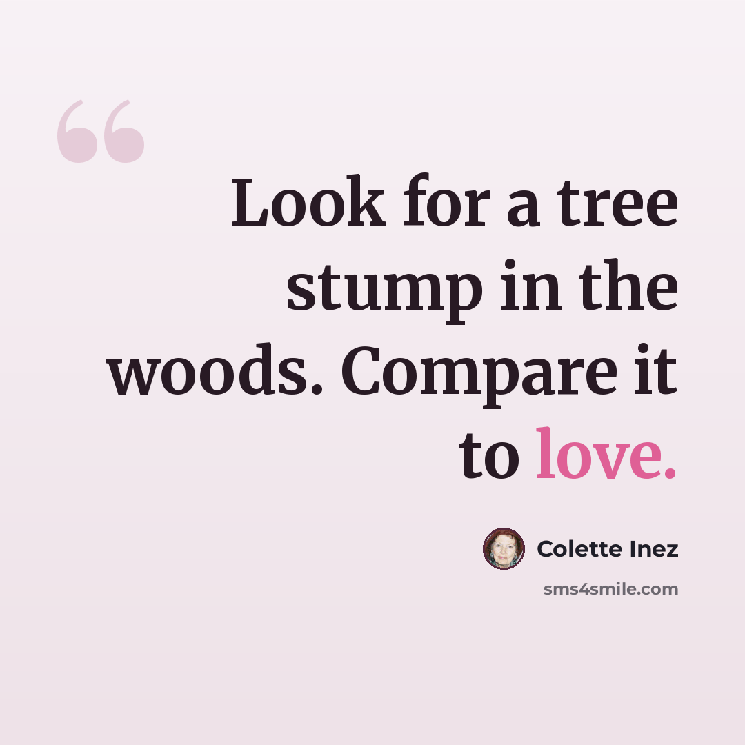 “Look for a tree stump in the woods. Compare it to love.” quote by Colette Inez