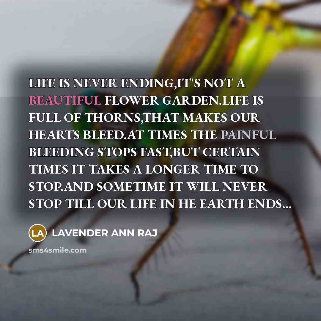 “LIFE IS NEVER ENDING,IT'S NOT A BEAUTIFUL FLOWER GARDEN.LIFE IS FULL OF THORNS,THAT MAKES OUR HEARTS BLEED.AT TIMES THE PAINFUL BLEEDING STOPS FAST,BUT CERTAIN TIMES IT TAKES A LONGER TIME TO STOP.AND SOMETIME IT WILL NEVER STOP TILL OUR LIFE IN HE EARTH ENDS...” quote by LAVENDER ANN RAJ