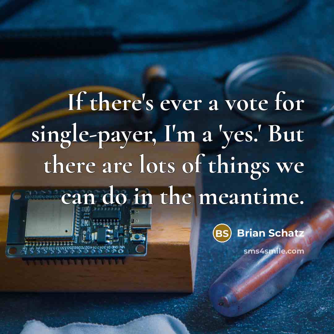 “If there's ever a vote for single-payer, I'm a 'yes.' But there are lots of things we can do in the meantime.” quote by Brian Schatz