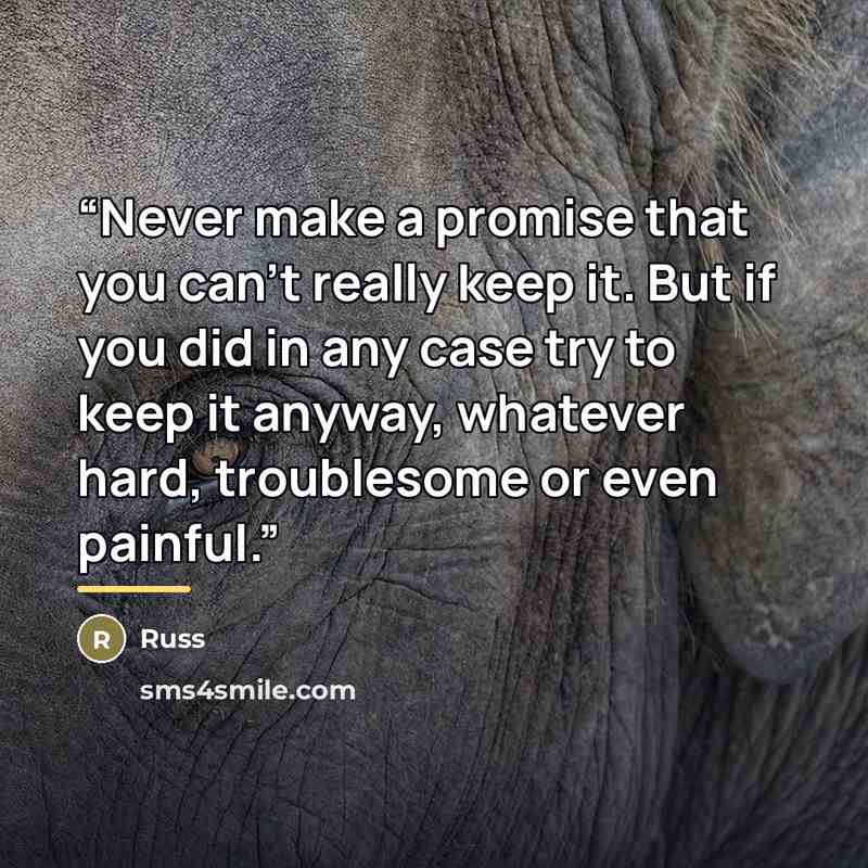 “Never make a promise that you can't really keep it. But if you did in any case try to keep it anyway, whatever hard, troublesome or even painful.” quote by Russ