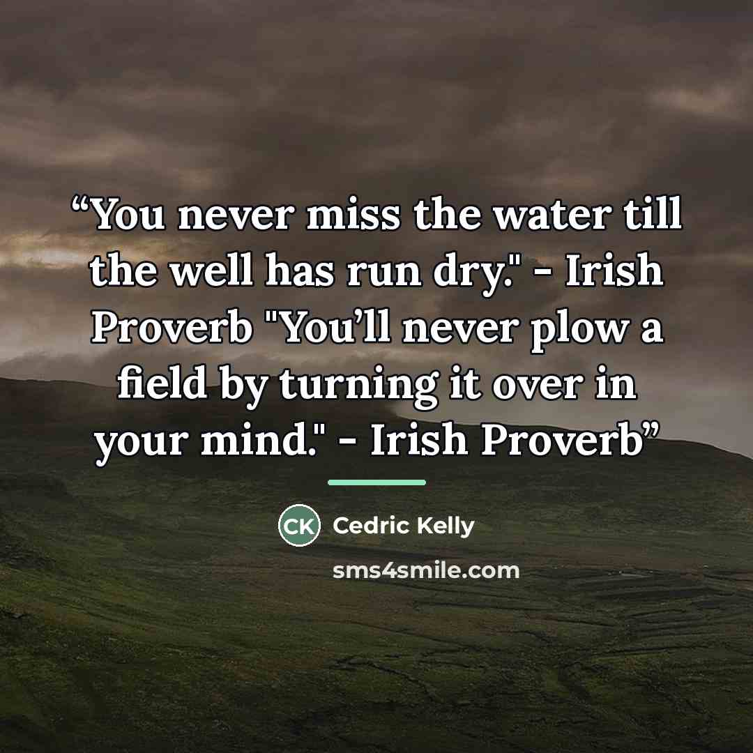 “You never miss the water till the well has run dry." - Irish Proverb "You’ll never plow a field by turning it over in your mind." - Irish Proverb” quote by Cedric Kelly