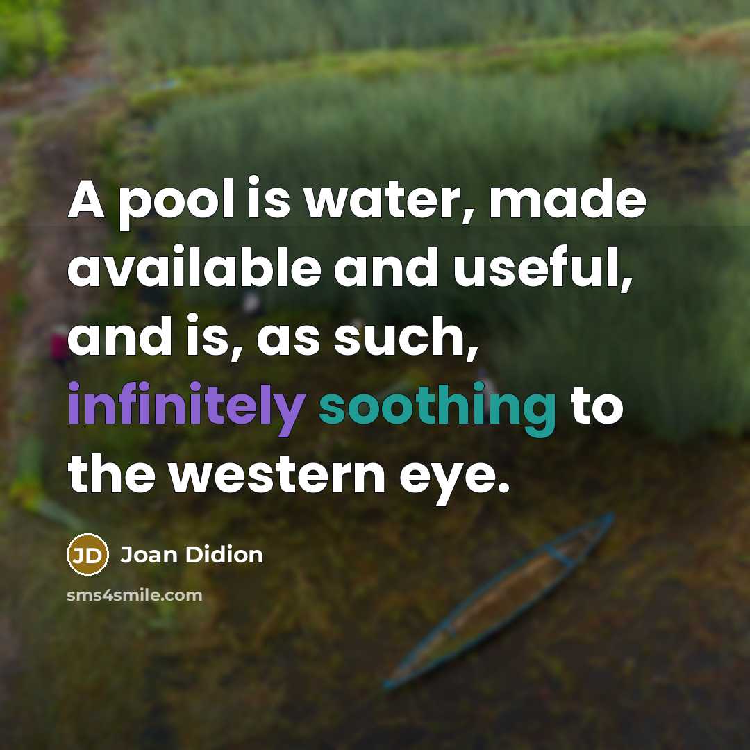 “A pool is water, made available and useful, and is, as such, infinitely soothing to the western eye.” quote by Joan Didion