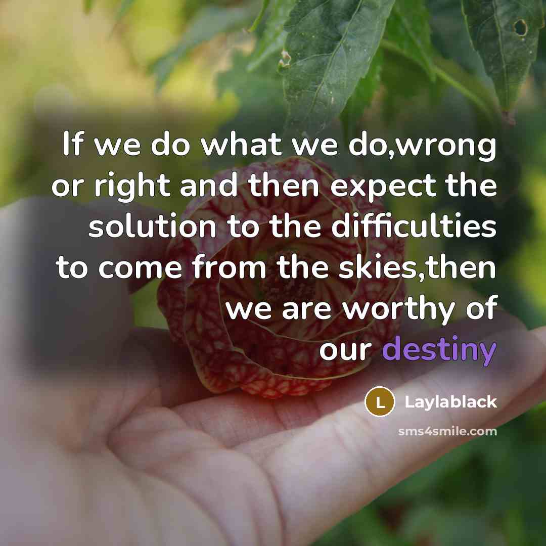“If we do what we do,wrong or right and then expect the solution to the difficulties to come from the skies,then we are worthy of our destiny” quote by Laylablack