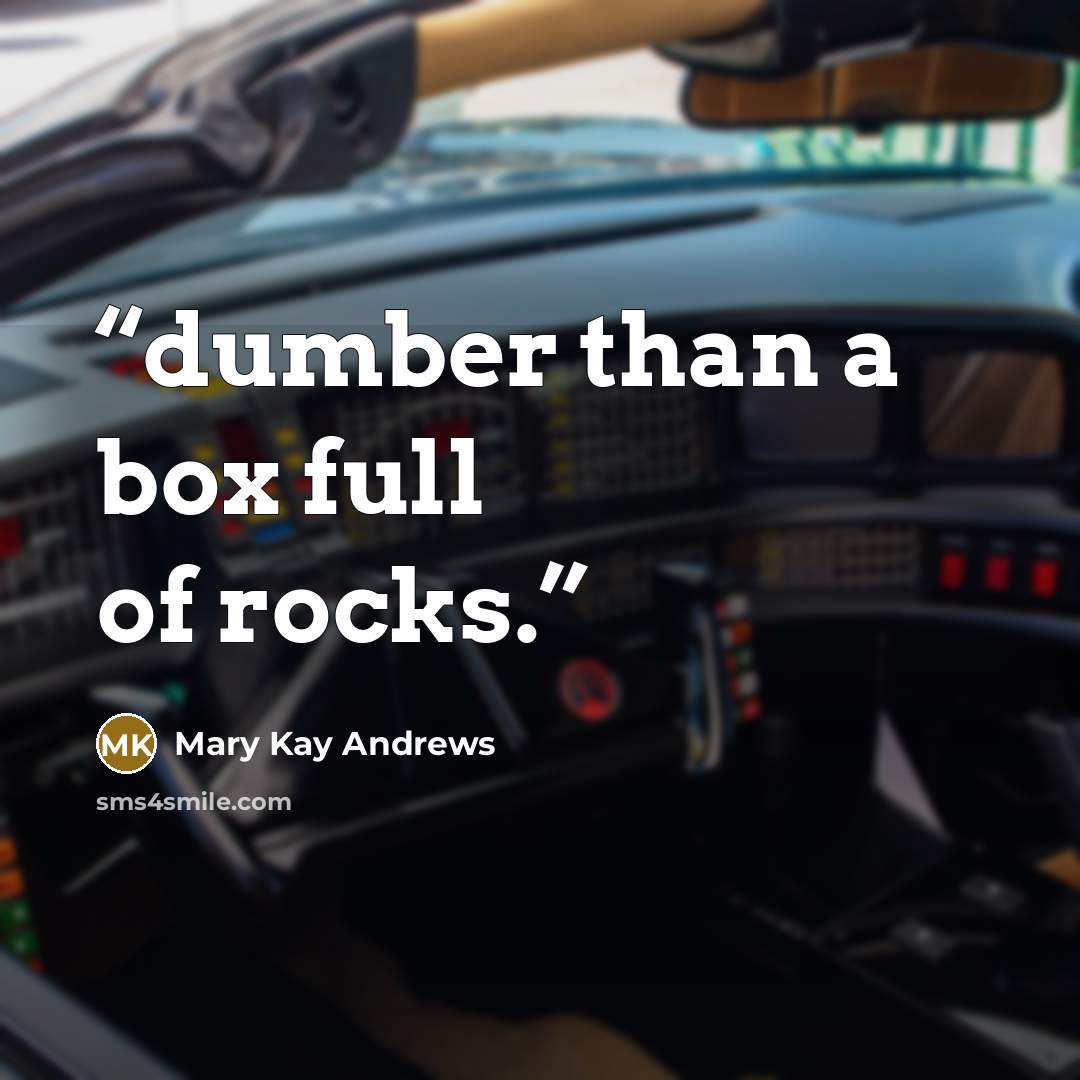 “dumber than a box full of rocks.” quote by Mary Kay Andrews