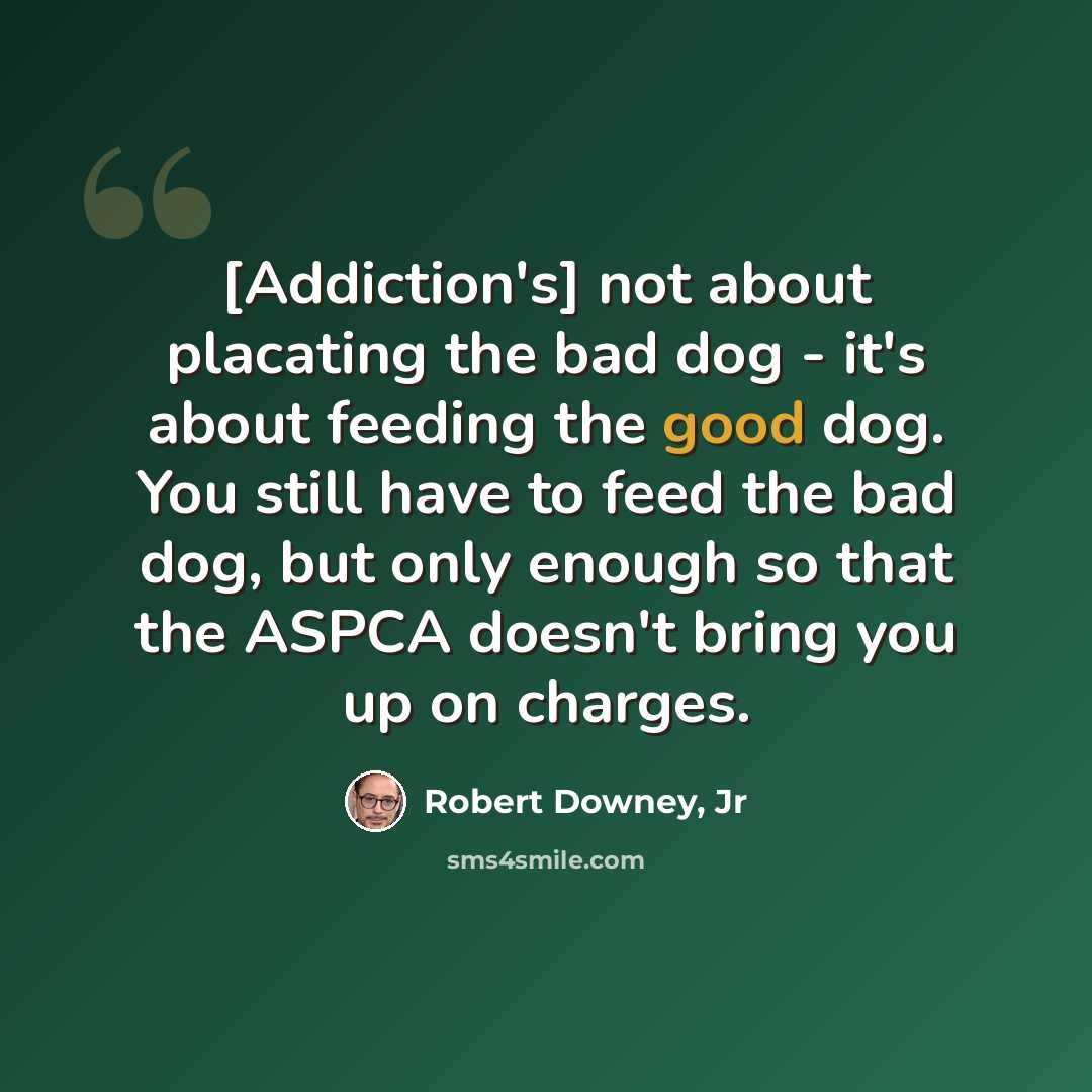 “[Addiction's] not about placating the bad dog - it's about feeding the good dog. You still have to feed the bad dog, but only enough so that the ASPCA doesn't bring you up on charges.” quote by Robert Downey, Jr