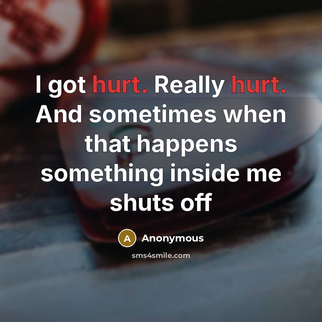 “I got hurt. Really hurt. And sometimes when that happens something inside me shuts off” quote by Anonymous