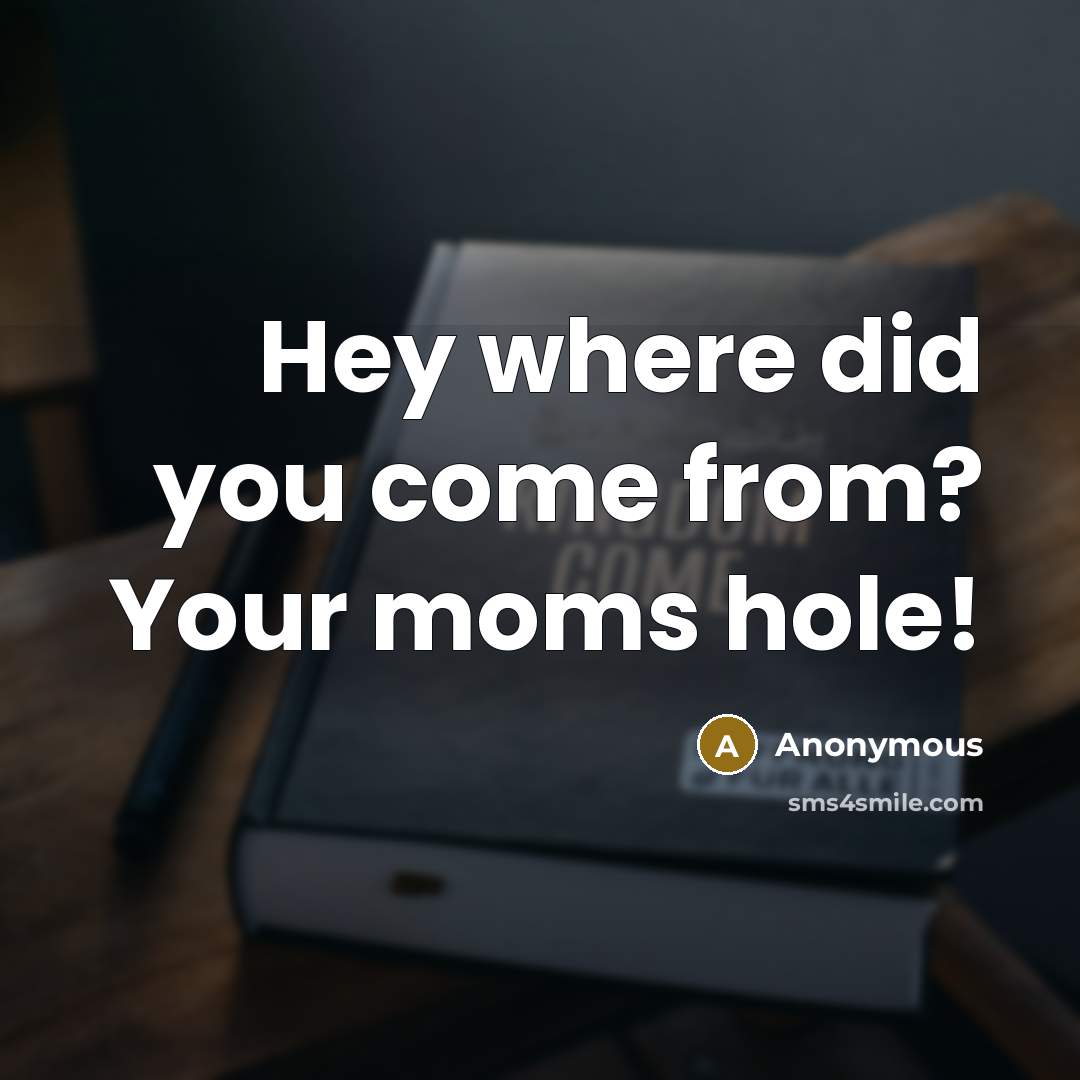 “Hey where did you come from? Your moms hole!” quote by Anonymous