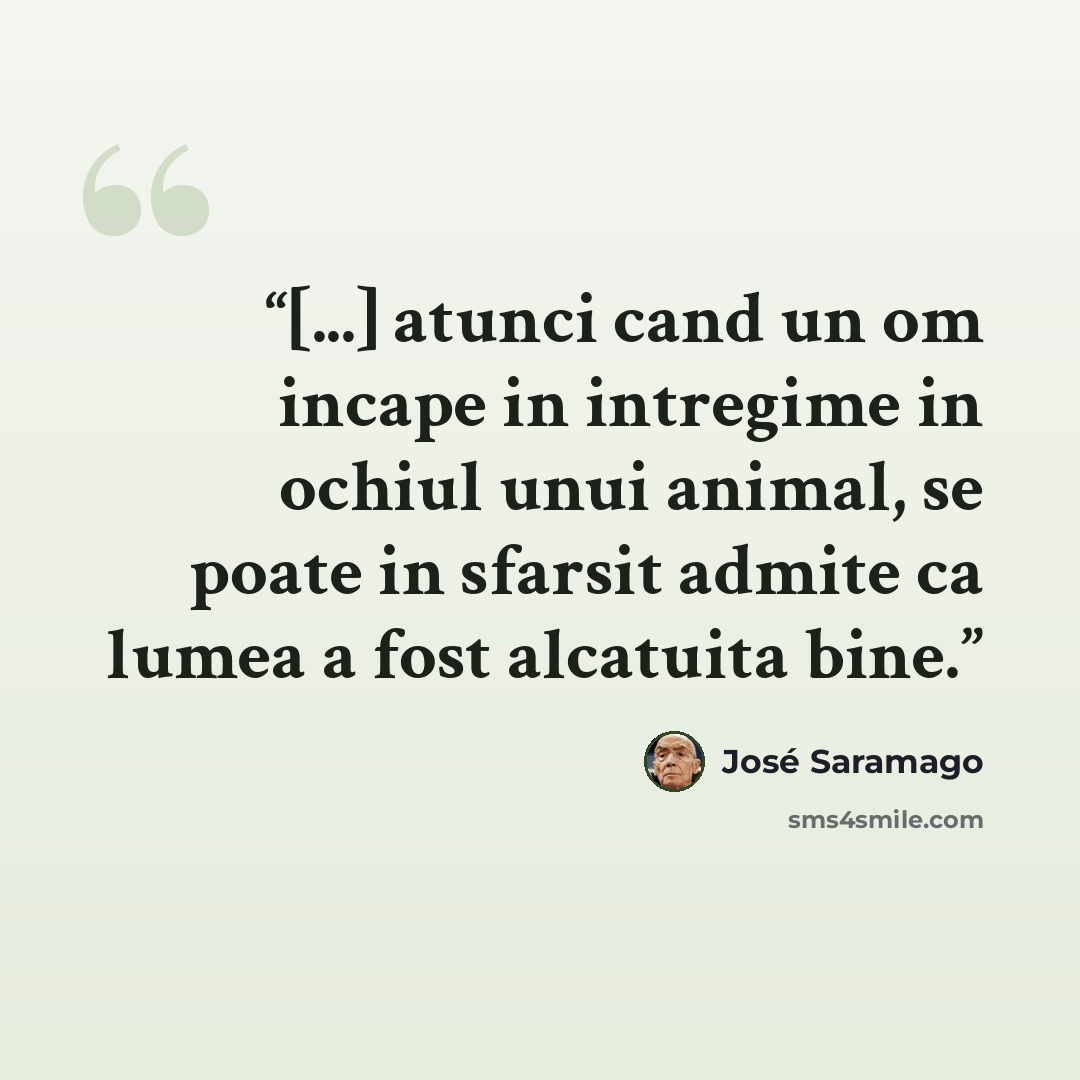 “[...] atunci cand un om incape in intregime in ochiul unui animal, se poate in sfarsit admite ca lumea a fost alcatuita bine.” quote by José Saramago