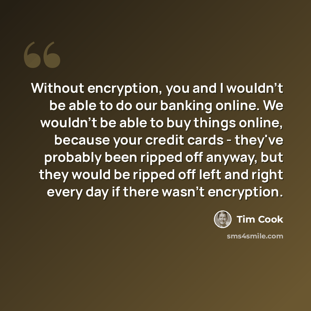 “Without encryption, you and I wouldn't be able to do our banking online. We wouldn't be able to buy things online, because your credit cards - they've probably been ripped off anyway, but they would be ripped off left and right every day if there wasn't encryption.” quote by Tim Cook