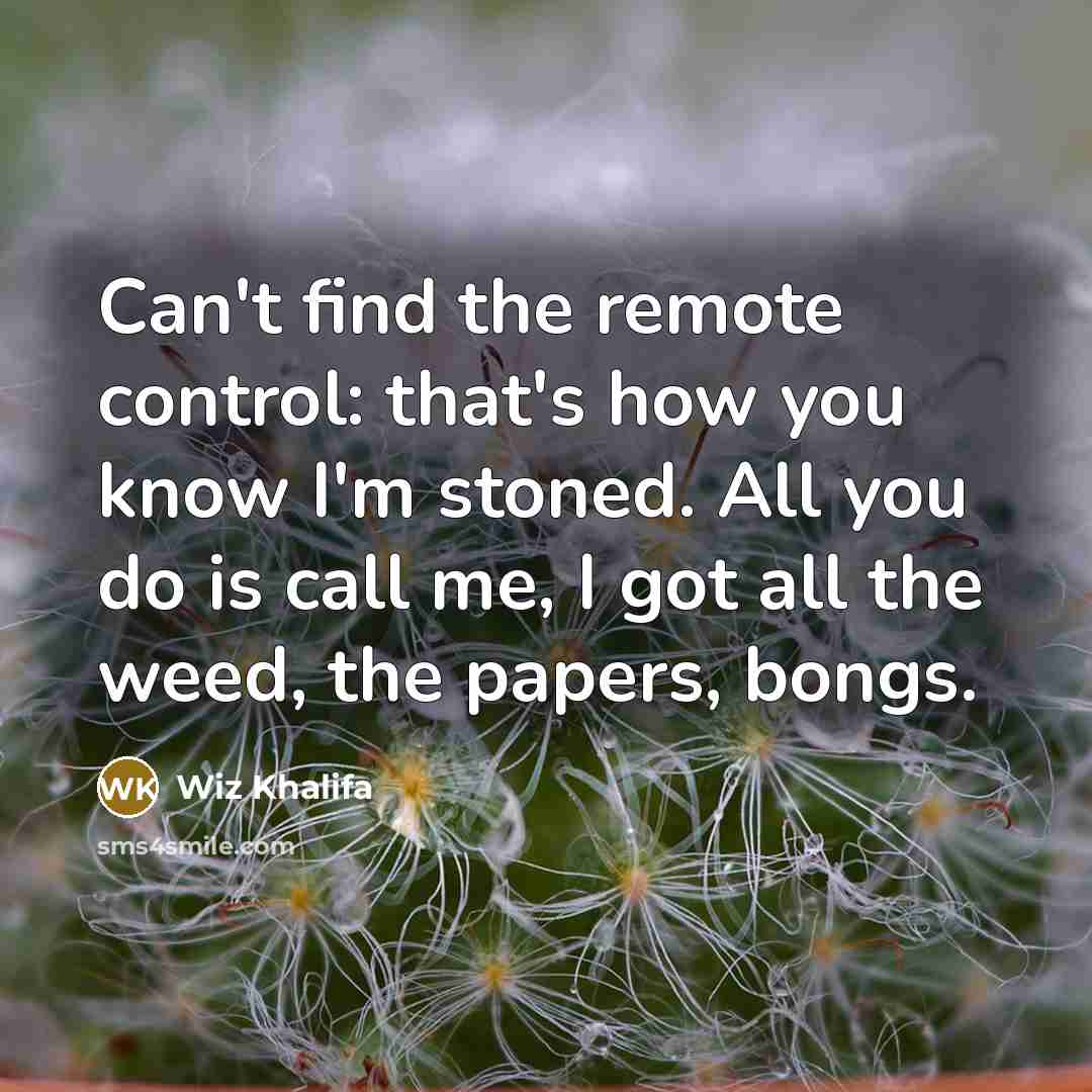“Can't find the remote control: that's how you know I'm stoned. All you do is call me, I got all the weed, the papers, bongs.” quote by Wiz Khalifa
