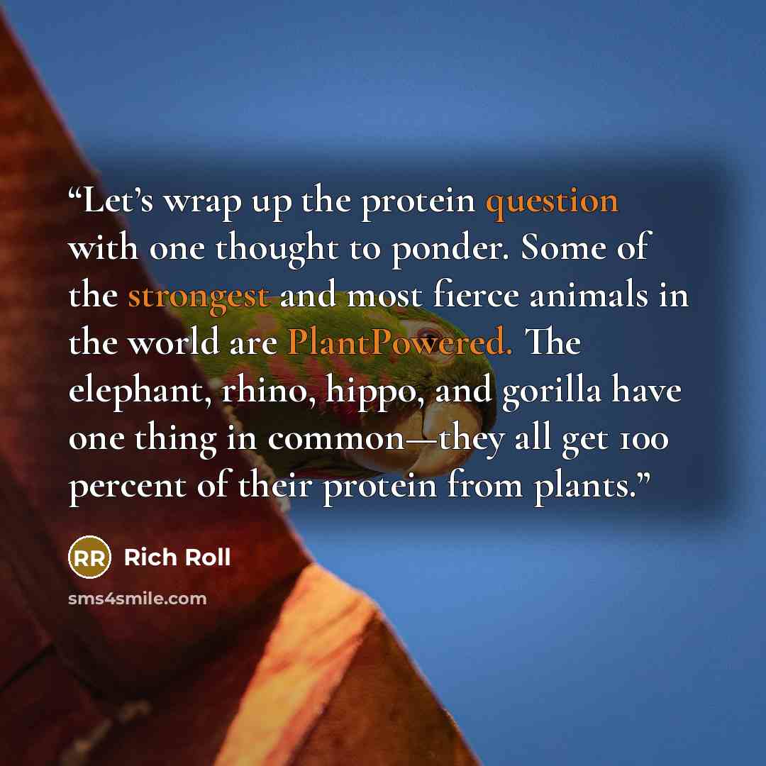 “Let’s wrap up the protein question with one thought to ponder. Some of the strongest and most fierce animals in the world are PlantPowered. The elephant, rhino, hippo, and gorilla have one thing in common—they all get 100 percent of their protein from plants.” quote by Rich Roll