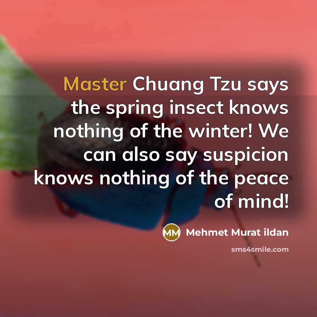 “Master Chuang Tzu says the spring insect knows nothing of the winter! We can also say suspicion knows nothing of the peace of mind!” quote by Mehmet Murat Ildan