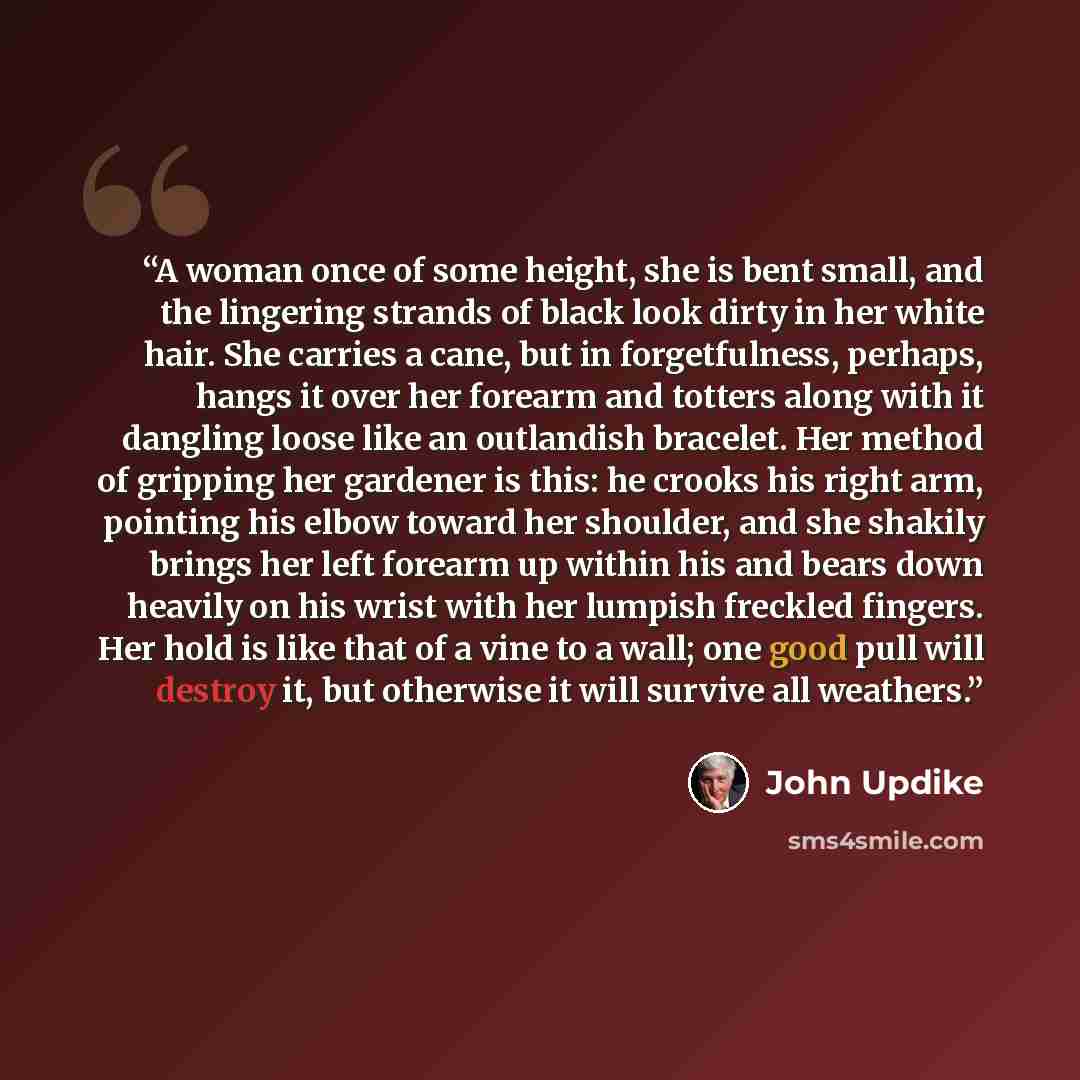 “A woman once of some height, she is bent small, and the lingering strands of black look dirty in her white hair. She carries a cane, but in forgetfulness, perhaps, hangs it over her forearm and totters along with it dangling loose like an outlandish bracelet. Her method of gripping her gardener is…” quote by John Updike