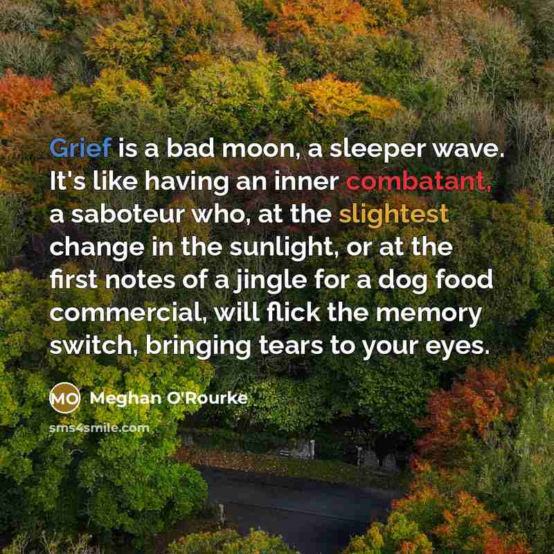 “Grief is a bad moon, a sleeper wave. It's like having an inner combatant, a saboteur who, at the slightest change in the sunlight, or at the first notes of a jingle for a dog food commercial, will flick the memory switch, bringing tears to your eyes.” quote by Meghan O'Rourke