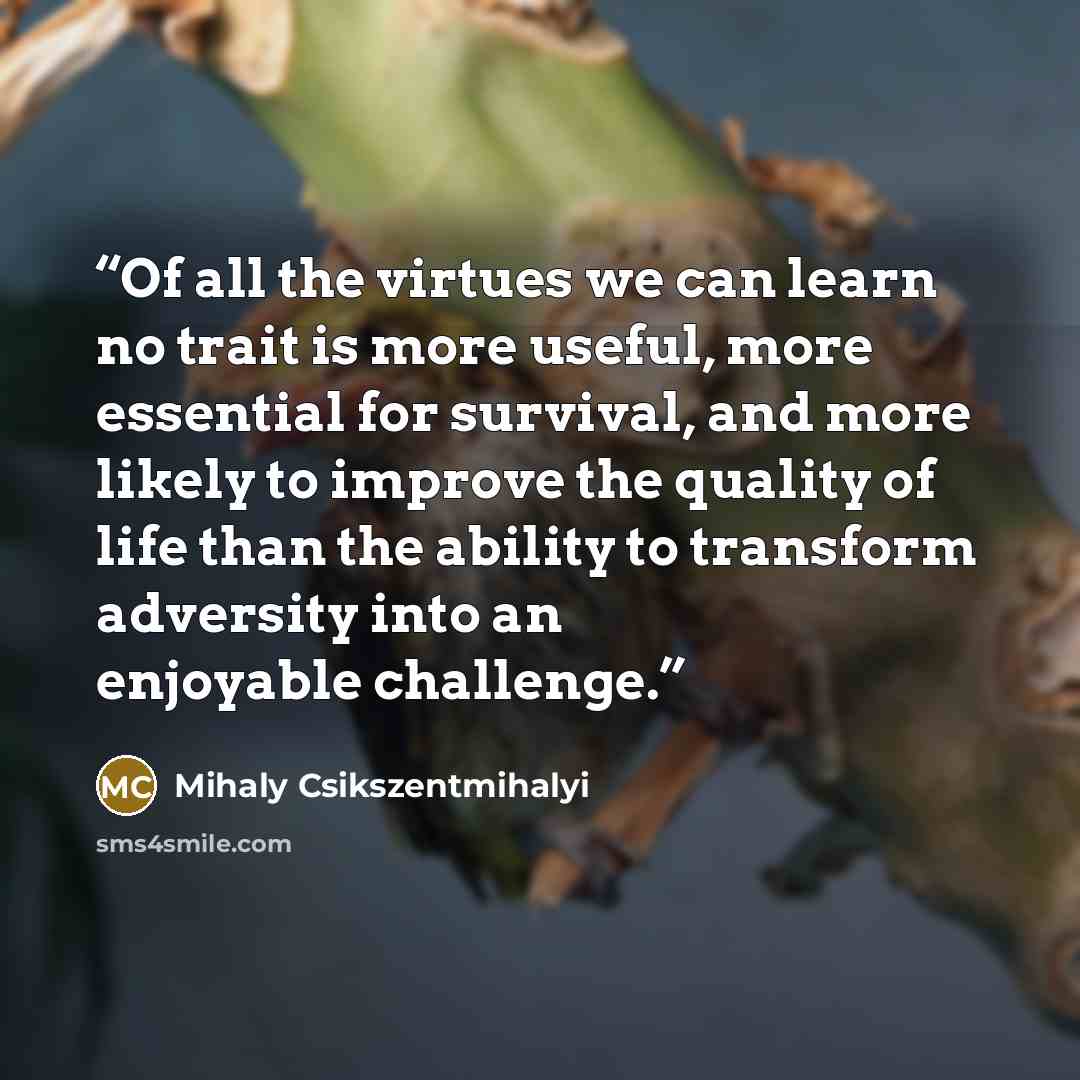 “Of all the virtues we can learn no trait is more useful, more essential for survival, and more likely to improve the quality of life than the ability to transform adversity into an enjoyable challenge.” quote by Mihaly Csikszentmihalyi