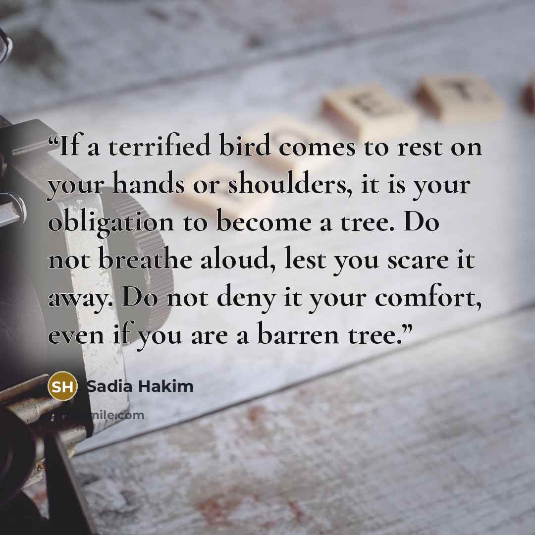 “If a terrified bird comes to rest on your hands or shoulders, it is your obligation to become a tree. Do not breathe aloud, lest you scare it away. Do not deny it your comfort, even if you are a barren tree.” quote by Sadia Hakim