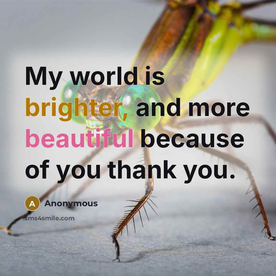 “My world is brighter, and more beautiful because of you thank you.” quote by Anonymous