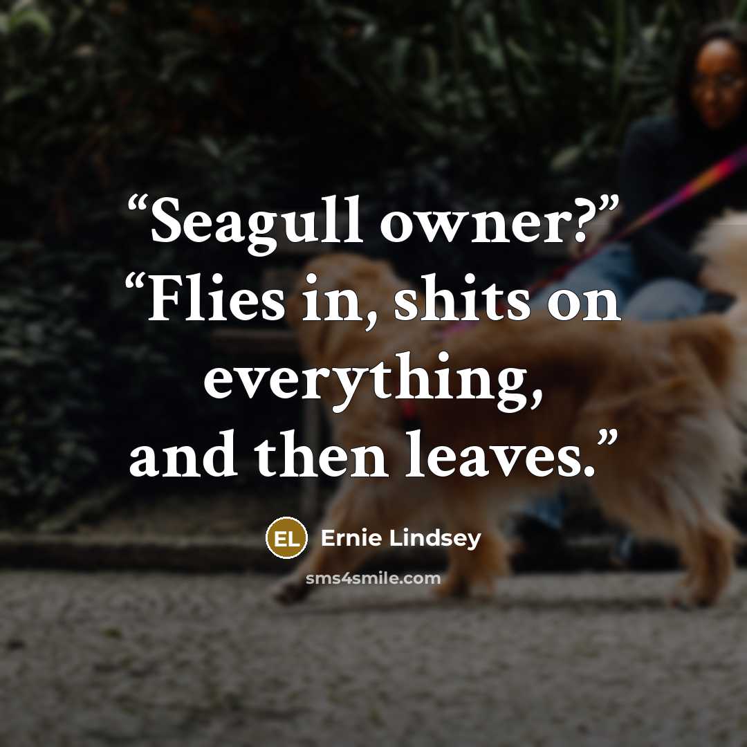 “Seagull owner?” “Flies in, shits on everything, and then leaves.” quote by Ernie Lindsey