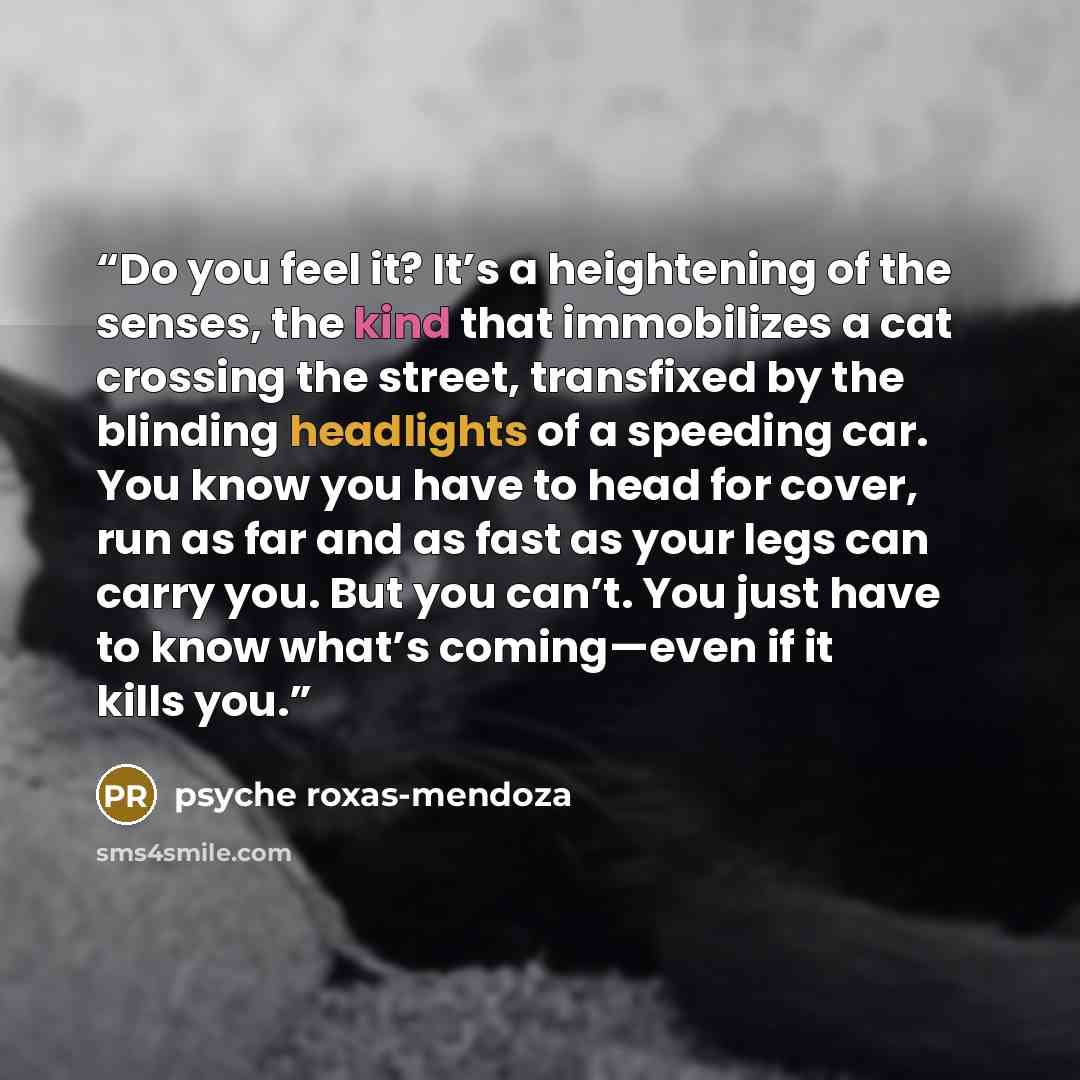 “Do you feel it? It’s a heightening of the senses, the kind that immobilizes a cat crossing the street, transfixed by the blinding headlights of a speeding car. You know you have to head for cover, run as far and as fast as your legs can carry you. But you can’t. You just have to know what’s…” quote by Psyche Roxas-Mendoza