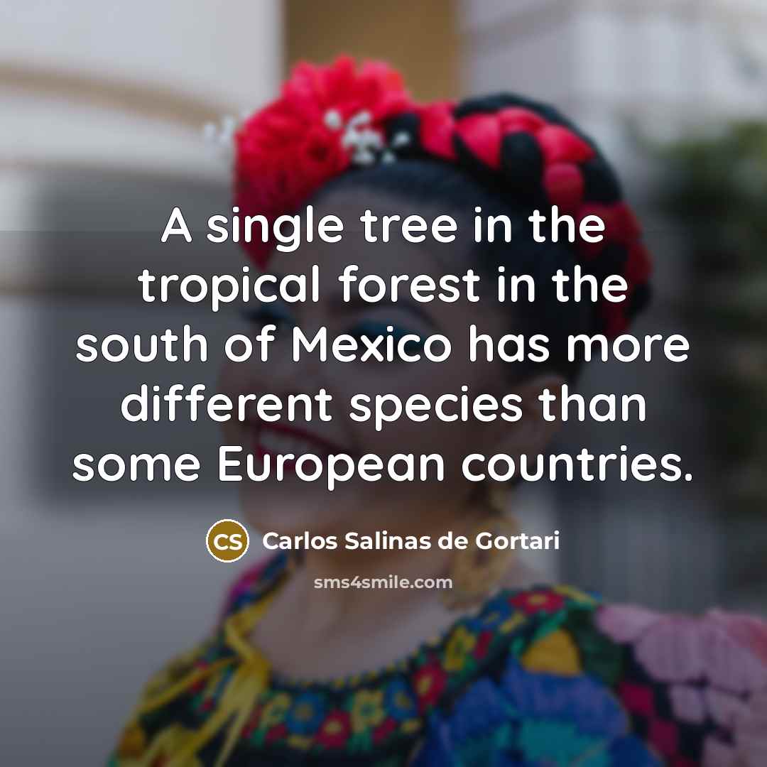 “A single tree in the tropical forest in the south of Mexico has more different species than some European countries.” quote by Carlos Salinas de Gortari