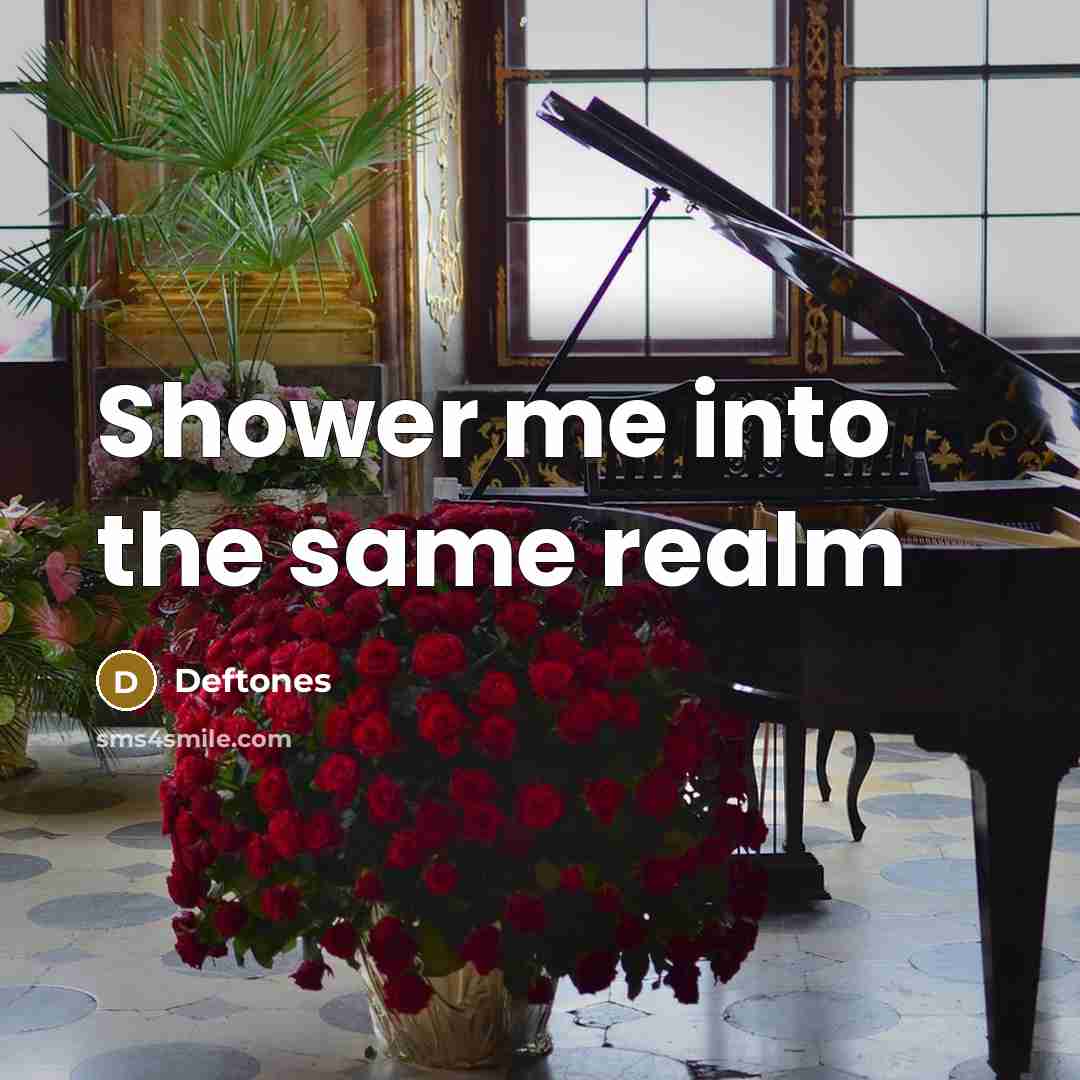 “Shower me into the same realm” quote by Deftones