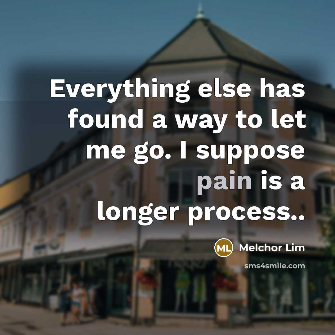 “Everything else has found a way to let me go. I suppose pain is a longer process..” quote by Melchor Lim