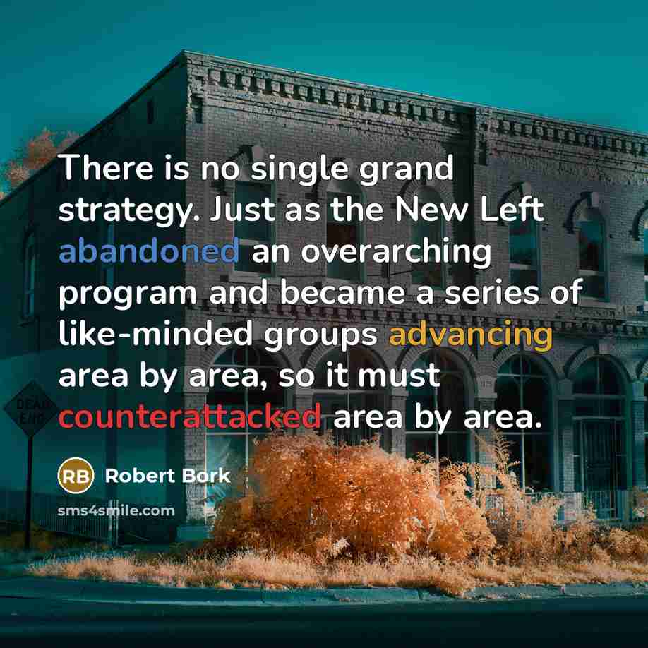 “There is no single grand strategy. Just as the New Left abandoned an overarching program and became a series of like-minded groups advancing area by area, so it must counterattacked area by area.” quote by Robert Bork