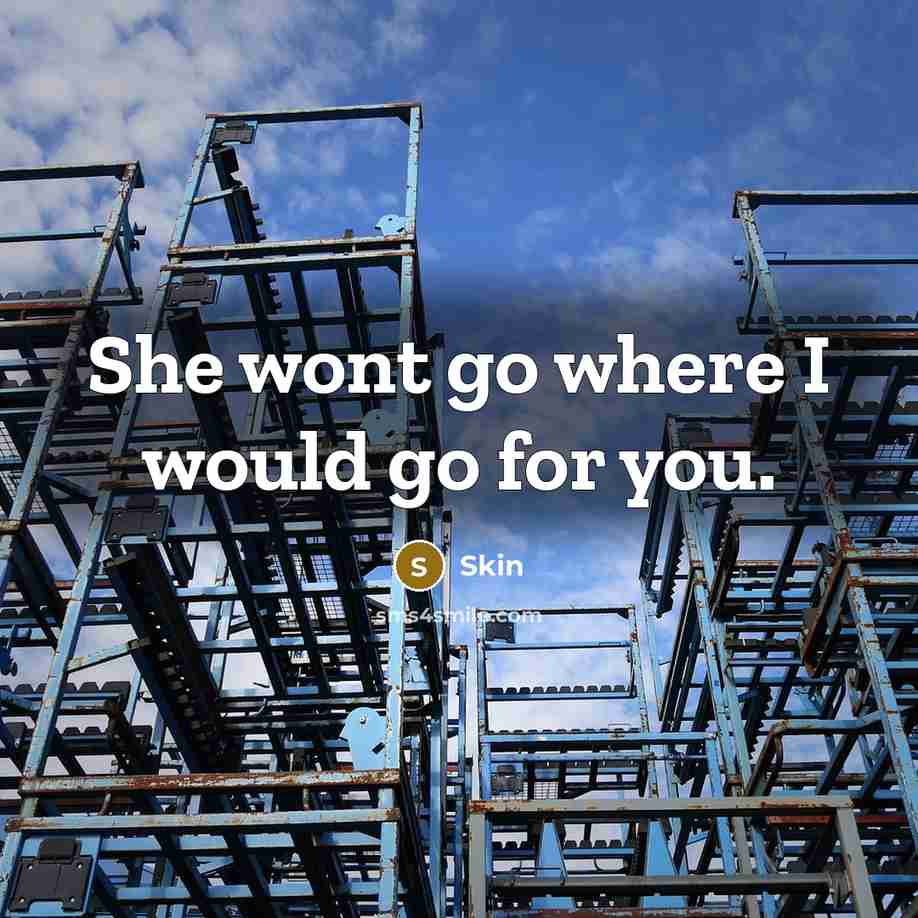 “She wont go where I would go for you.” quote by Skin
