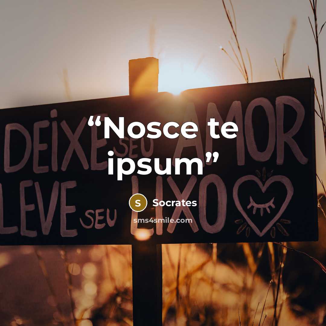 “Nosce te ipsum” quote by Socrates