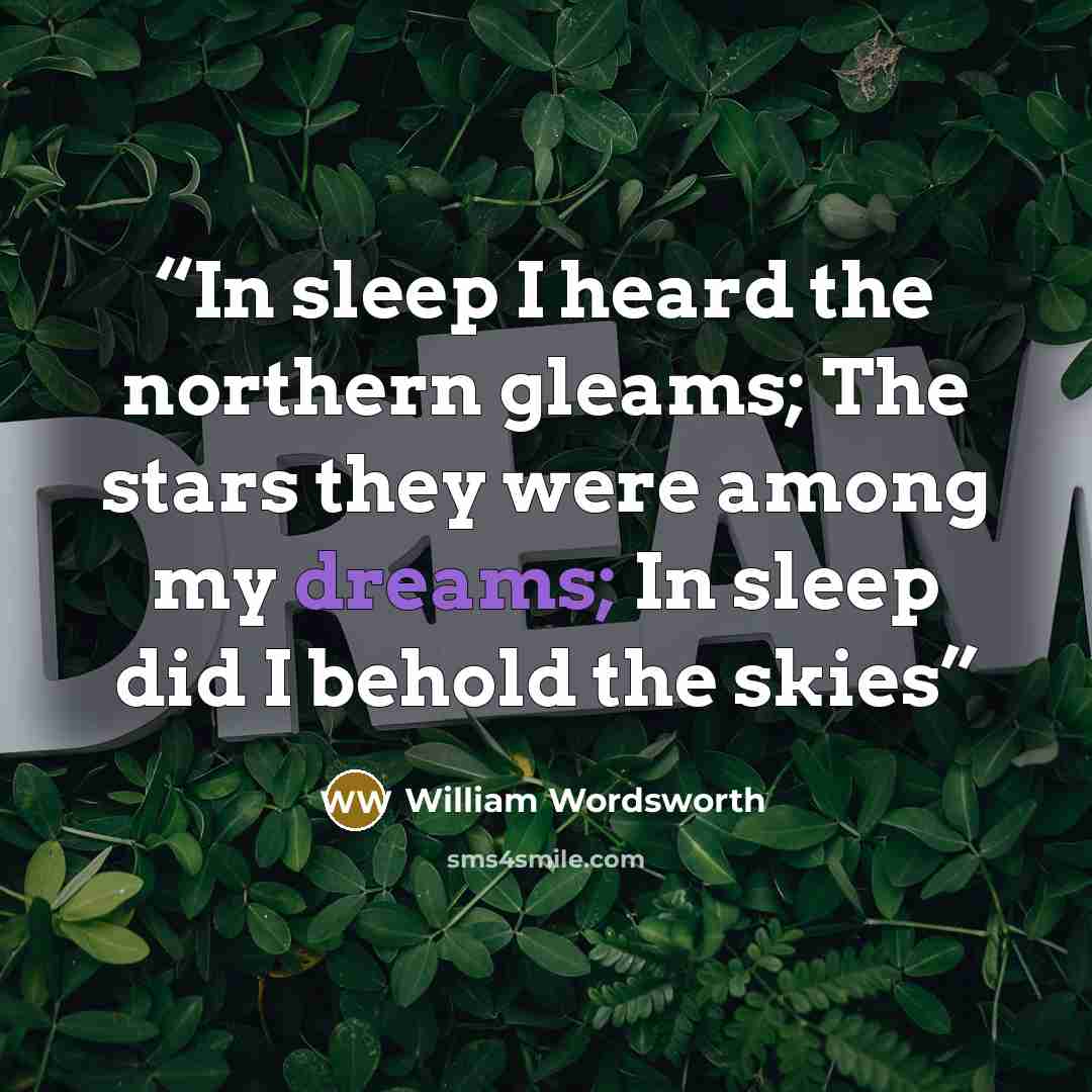 “In sleep I heard the northern gleams; The stars they were among my dreams; In sleep did I behold the skies” quote by William Wordsworth
