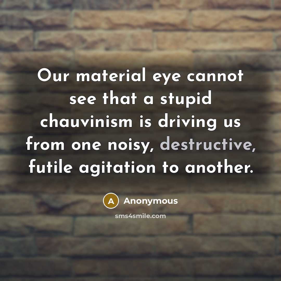 “Our material eye cannot see that a stupid chauvinism is driving us from one noisy, destructive, futile agitation to another.” quote by Anonymous