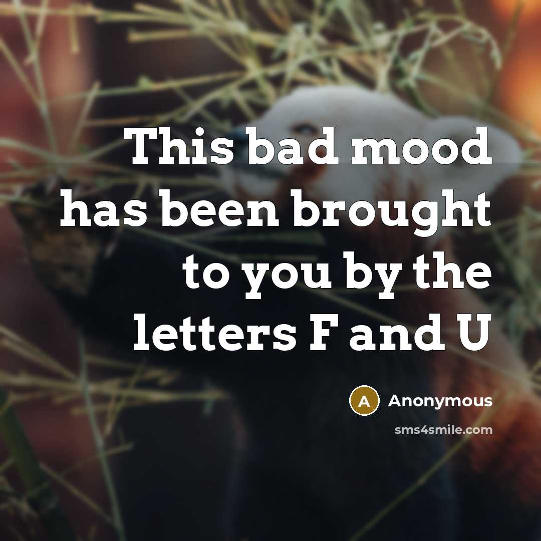 “This bad mood has been brought to you by the letters F and U” quote by Anonymous