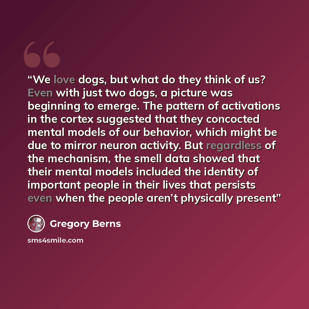 “We love dogs, but what do they think of us? Even with just two dogs, a picture was beginning to emerge. The pattern of activations in the cortex suggested that they concocted mental models of our behavior, which might be due to mirror neuron activity. But regardless of the mechanism, the smell…” quote by Gregory Berns