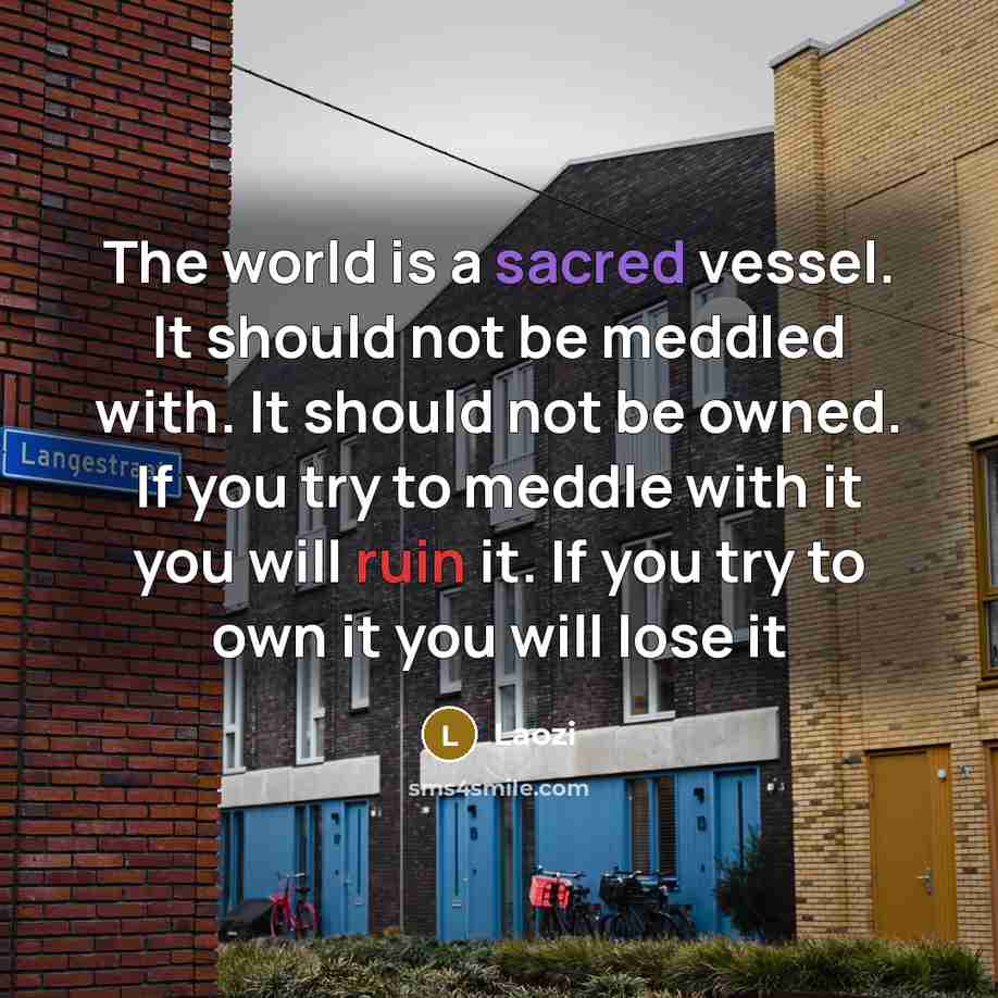 “The world is a sacred vessel. It should not be meddled with. It should not be owned. If you try to meddle with it you will ruin it. If you try to own it you will lose it” quote by Laozi