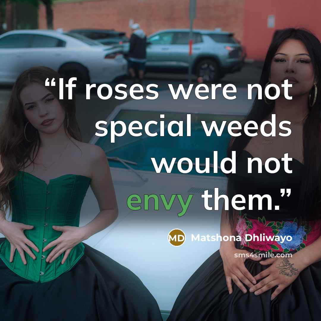 “If roses were not special weeds would not envy them.” quote by Matshona Dhliwayo
