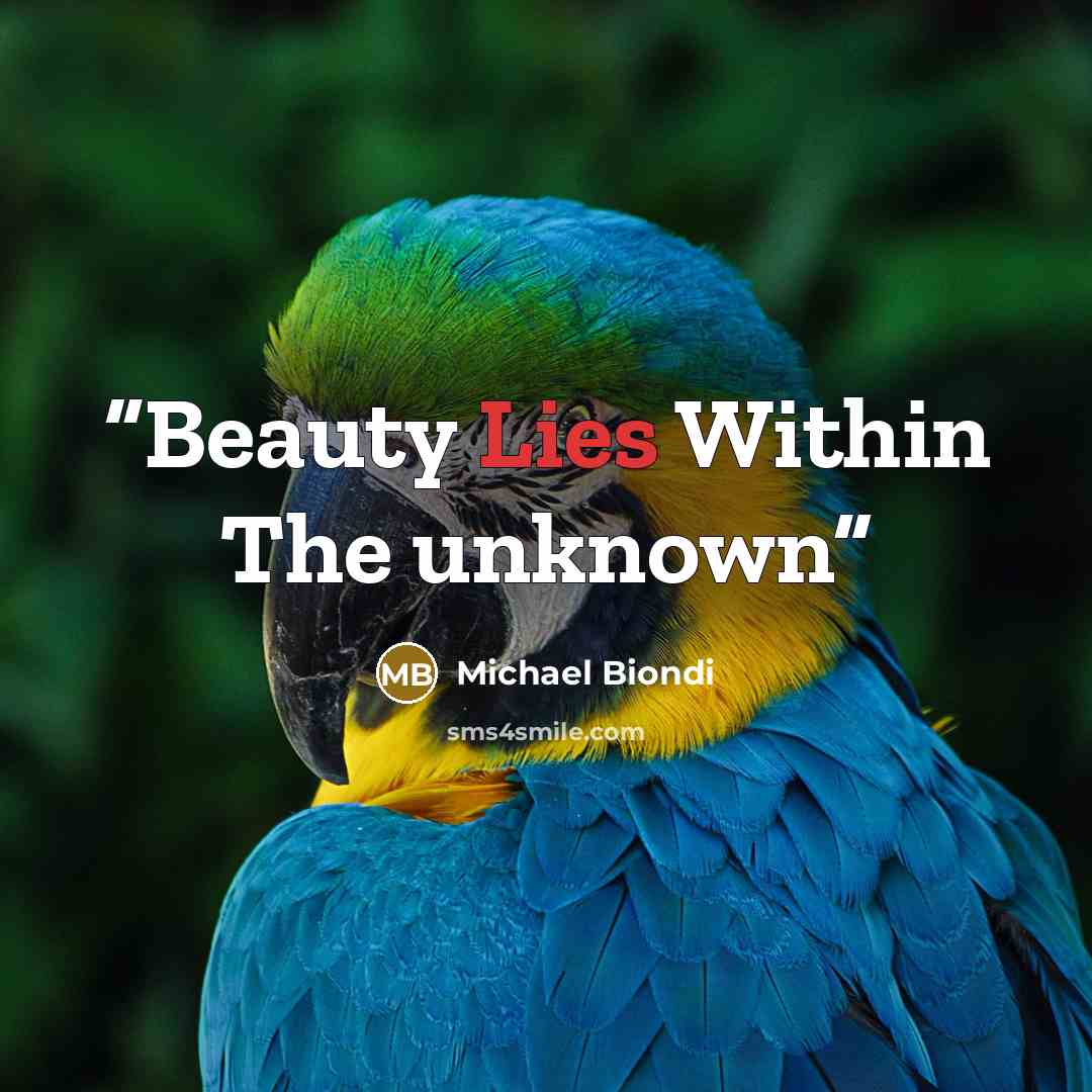 “Beauty Lies Within The unknown” quote by Michael Biondi