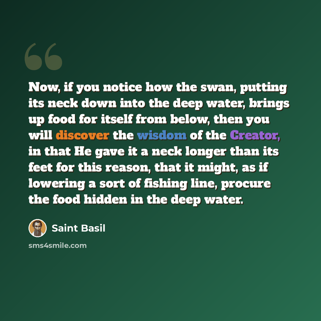 “Now, if you notice how the swan, putting its neck down into the deep water, brings up food for itself from below, then you will discover the wisdom of the Creator, in that He gave it a neck longer than its feet for this reason, that it might, as if lowering a sort of fishing line, procure the food…” quote by Saint Basil