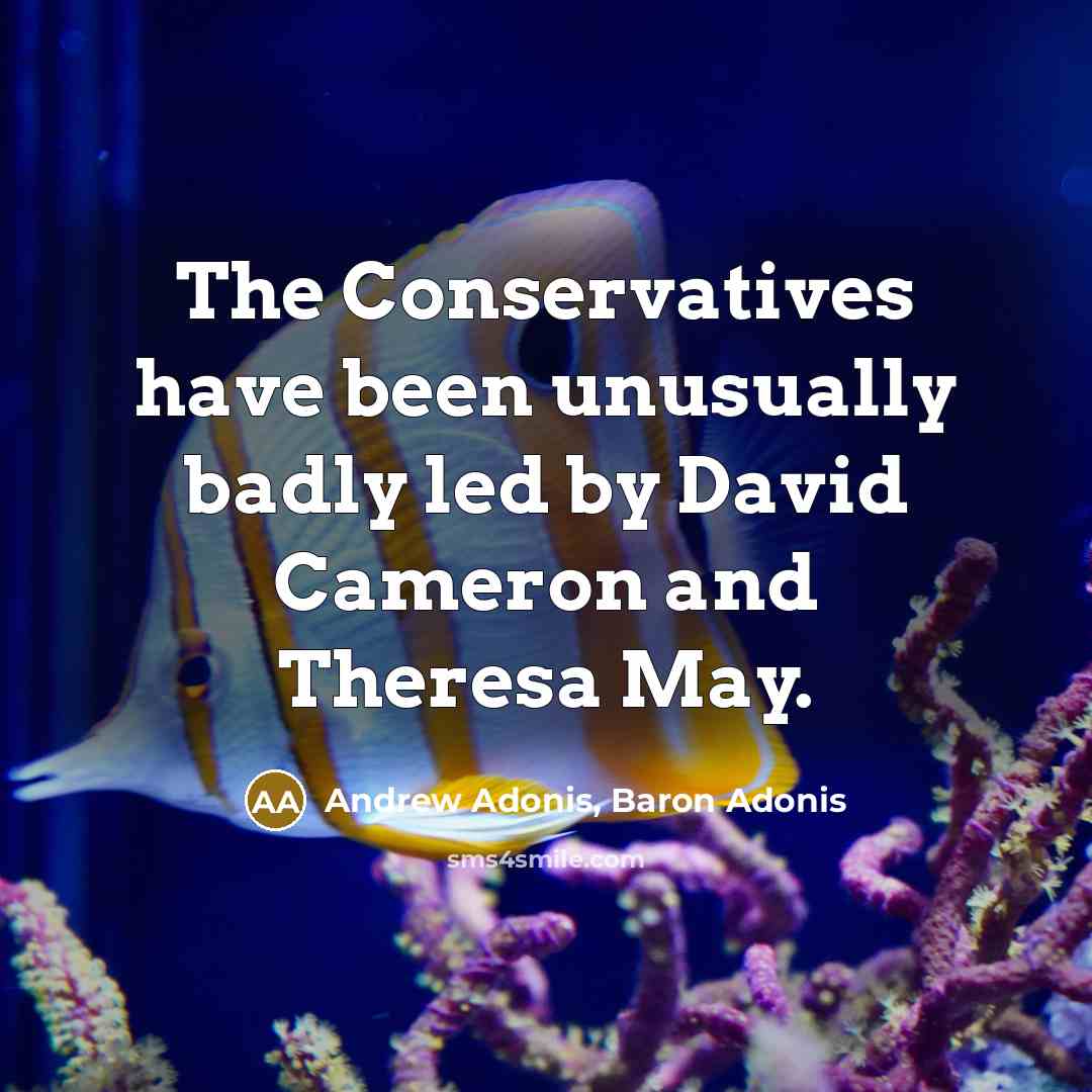 “The Conservatives have been unusually badly led by David Cameron and Theresa May.” quote by Andrew Adonis, Baron Adonis