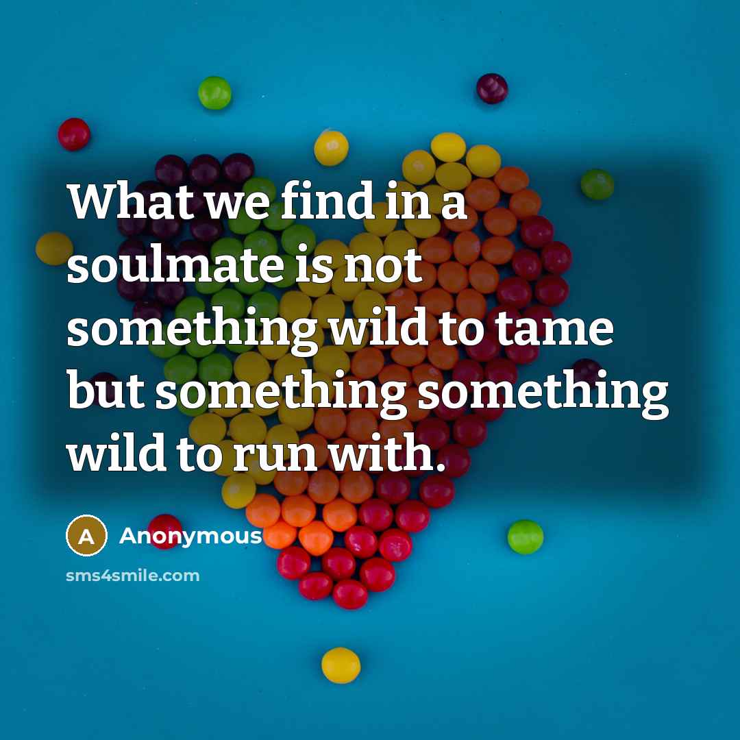 “What we find in a soulmate is not something wild to tame but something something wild to run with.” quote by Anonymous