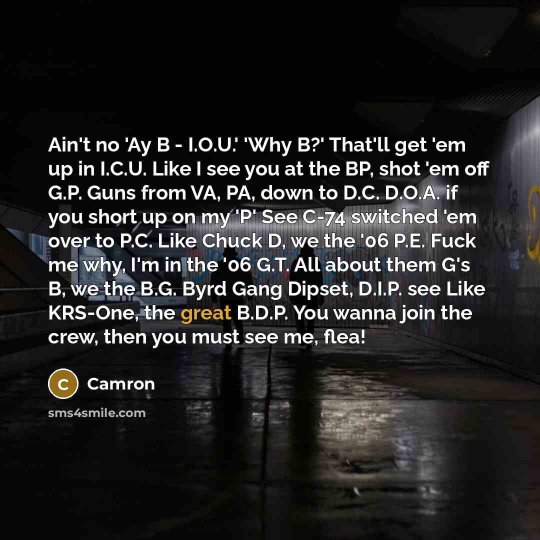 “Ain't no 'Ay B - I.O.U.' 'Why B?' That'll get 'em up in I.C.U. Like I see you at the BP, shot 'em off G.P. Guns from VA, PA, down to D.C. D.O.A. if you short up on my 'P' See C-74 switched 'em over to P.C. Like Chuck D, we the '06 P.E. Fuck me why, I'm in the '06 G.T. All about them G's B, we the…” quote by Camron