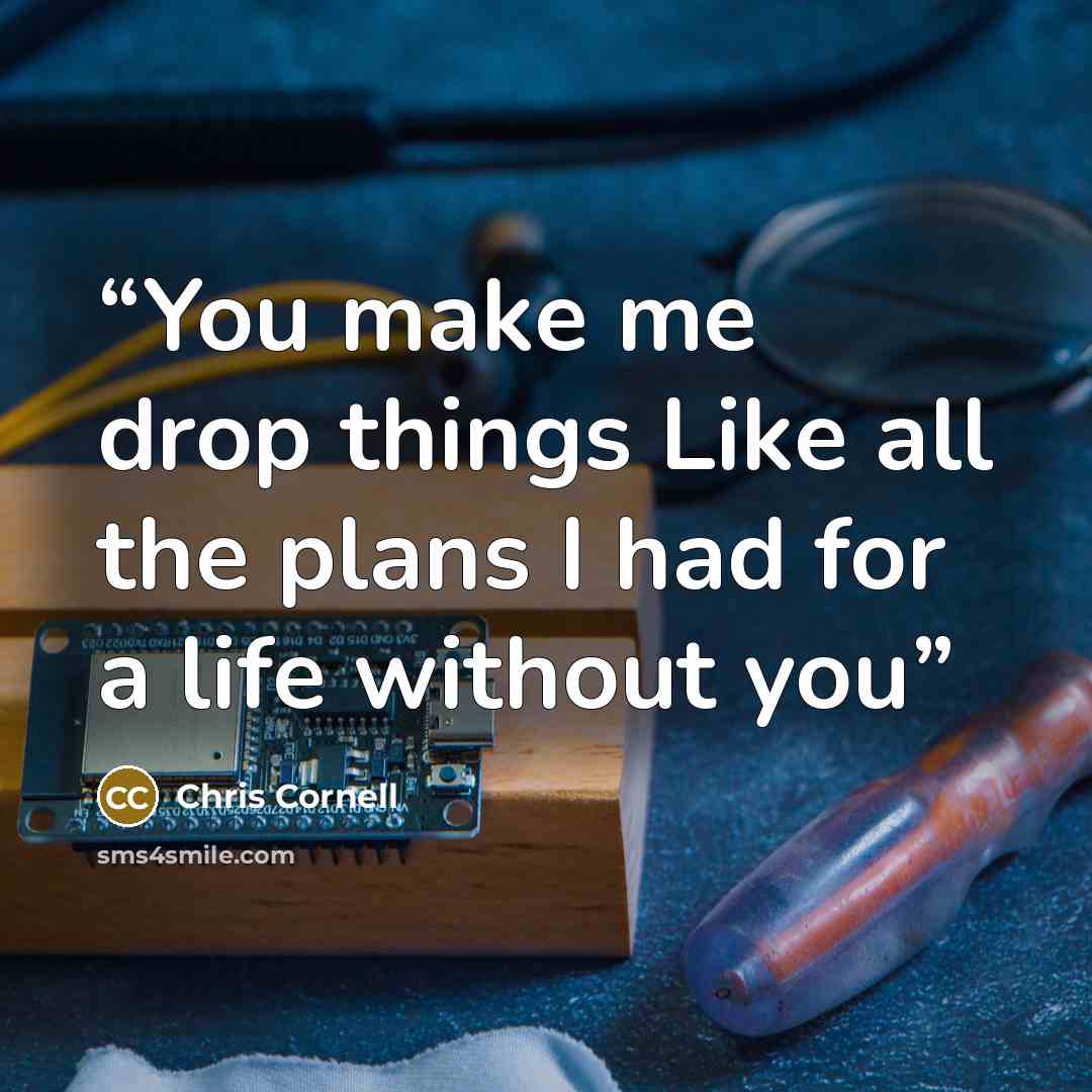 “You make me drop things Like all the plans I had for a life without you” quote by Chris Cornell