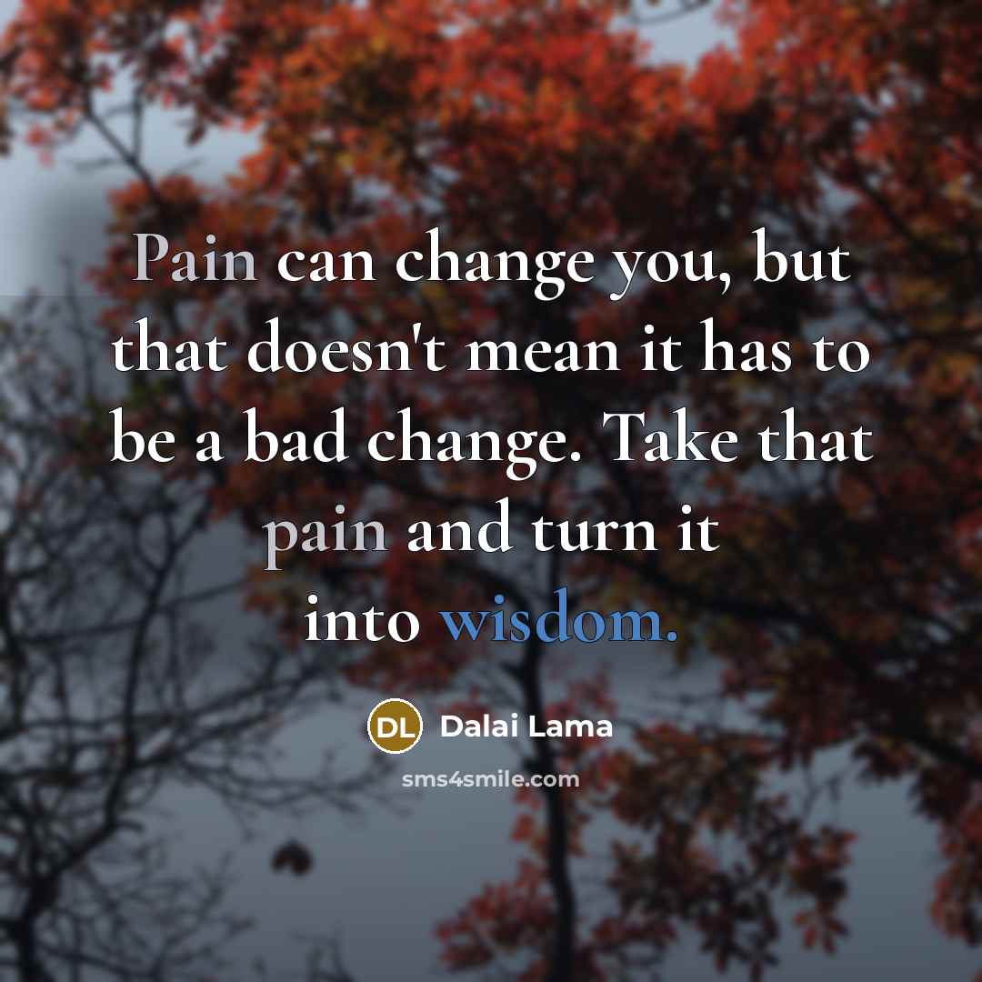 “Pain can change you, but that doesn't mean it has to be a bad change. Take that pain and turn it into wisdom.” quote by Dalai Lama