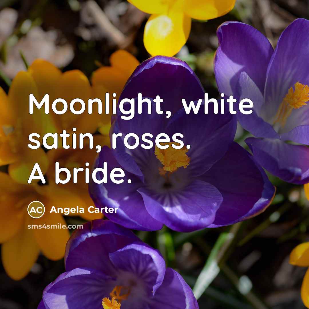 “Moonlight, white satin, roses. A bride.” quote by Angela Carter