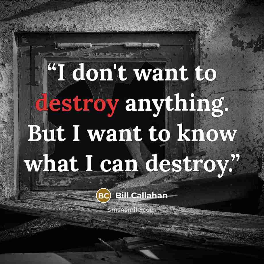 “I don't want to destroy anything. But I want to know what I can destroy.” quote by Bill Callahan