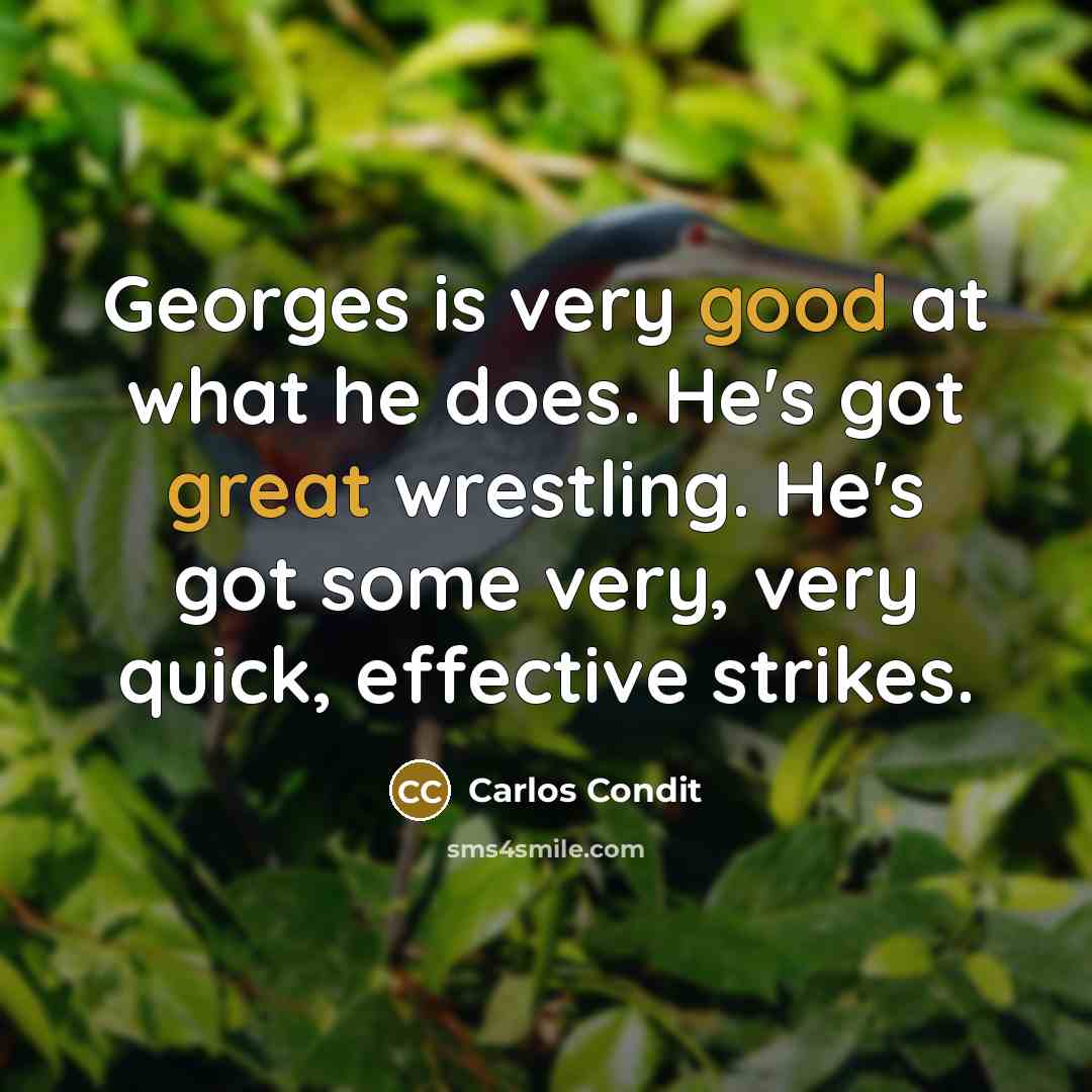 “Georges is very good at what he does. He's got great wrestling. He's got some very, very quick, effective strikes.” quote by Carlos Condit