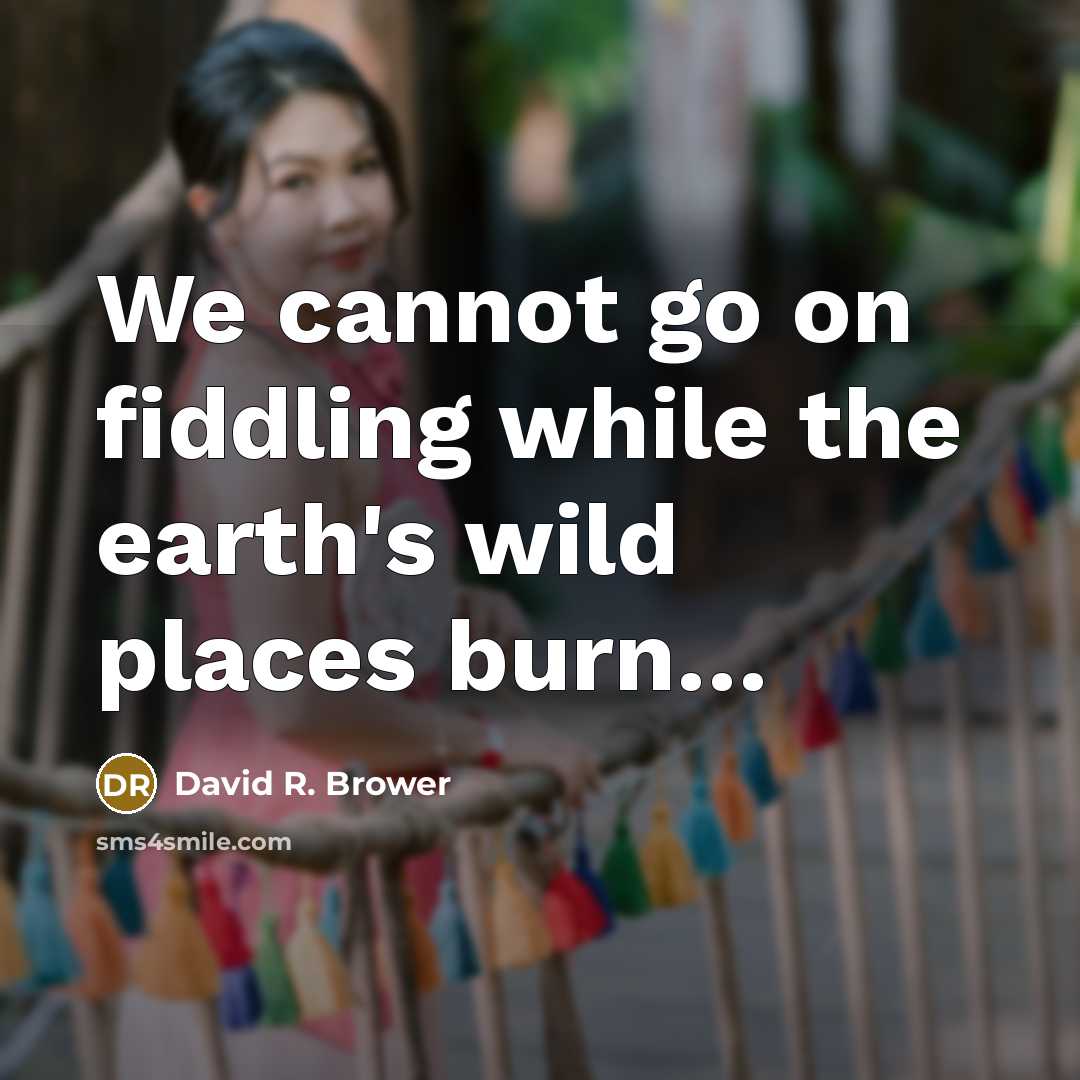 “We cannot go on fiddling while the earth's wild places burn…” quote by David R. Brower