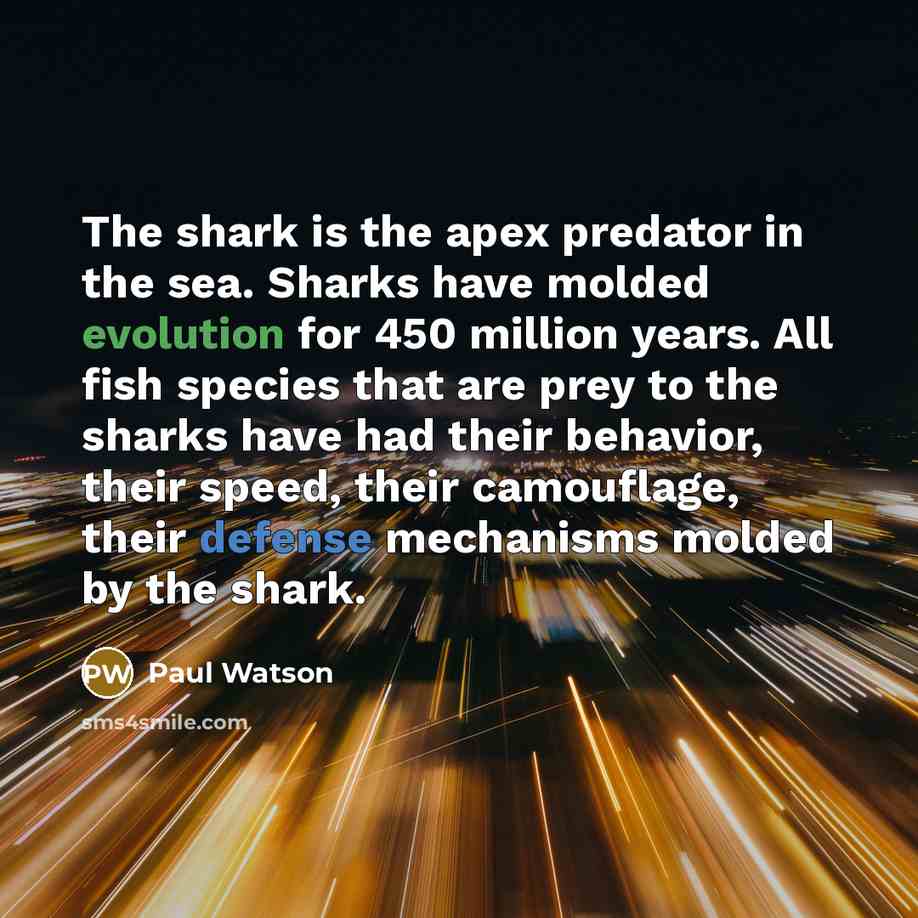 “The shark is the apex predator in the sea. Sharks have molded evolution for 450 million years. All fish species that are prey to the sharks have had their behavior, their speed, their camouflage, their defense mechanisms molded by the shark.” quote by Paul Watson